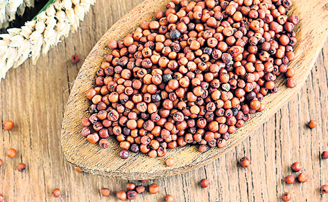 రాగులు ఎంత ఆరోగ్యకరమంటే... | Increased Intake Of Ragulu For Health | Sakshi