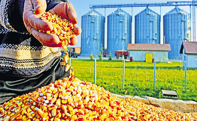 ఫుడ్‌ ప్రాసెసింగ్‌పై 8 ఒప్పందాలు | 8 Agreements On Food Processing In ...