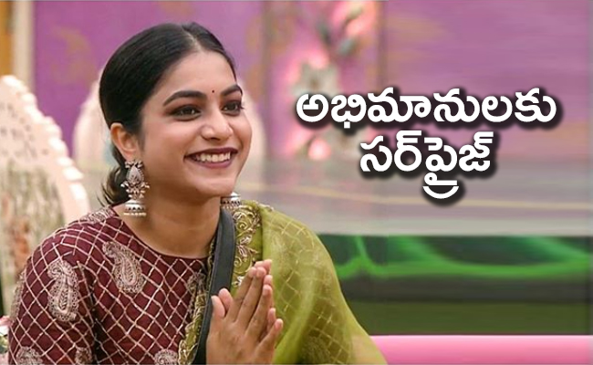 పునర్నవి