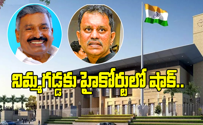 Pedda Reddy Rel నిమ్మగడ్డకు మరోసారి ఎదురుదెబ్బ | AP High Court Permission To Peddireddy ...