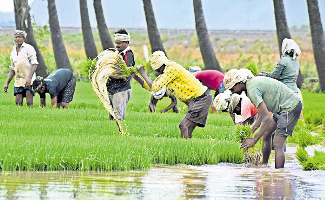 Andhra Pradesh: ఏపీలో జీవనోపాధి భేష్‌ | Rural economy is good in AP and ...