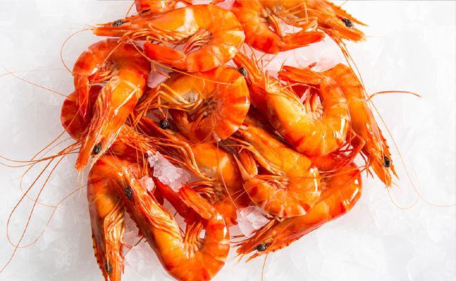 Prora Fish రొయ్య ధరల్ని తగ్గిస్తే చర్యలు | AP Govt Says Dont Decrease Prawn Fish ...