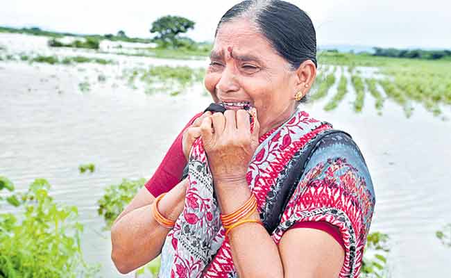 Farmers in Huge Loss Due to Heavy Rains in Telangana - Sakshi