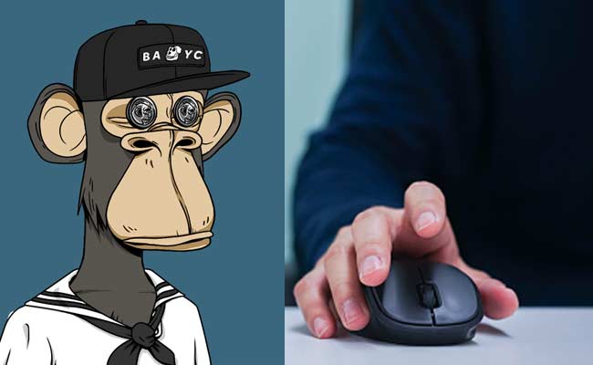 Trader Sells Bored Ape NFT For 3,000 Dollars Instead Of 300,000 Dollars ...