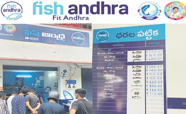 ఫిష్‌ ఆంధ్ర అవుట్‌లెట్లలో డిజిటల్‌ పేమెంట్లు | Digital payments at Fish ...