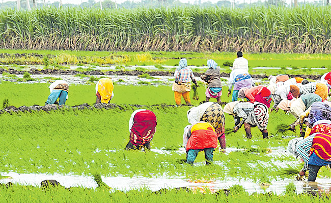 అవును... అభివృద్ధికి అడ్డా ఆంధ్రప్రదేశ్‌ | Andhra Pradesh Top in Gross ...