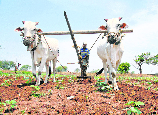 పెట్టుబడి పడలే..! | - | Sakshi