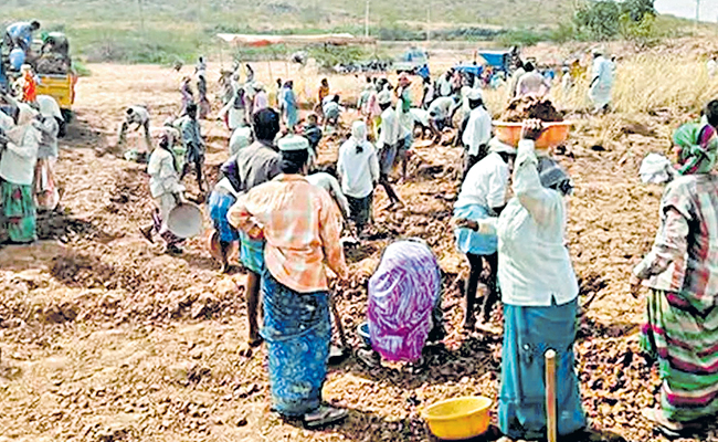 గిరిజనులకు అదనపు ‘ఉపాధి’ | Rural Development Department Special Drive ...