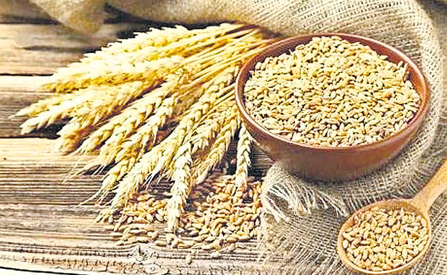 గోధుమలు, బియ్యం ధరల స్థిరీకరణ | Stabilization of prices of wheat and ...