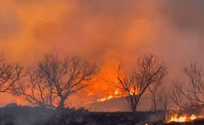 అమెరికాలో కార్చిచ్చు | Massive wildfires burning in Texas Panhandle ...