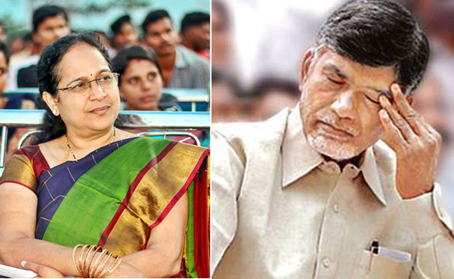 మా‘లోకం’ అనుకుంటే... మా పుట్టి ముంచేస్తోంది! | Nellimarla TDP Leader ...