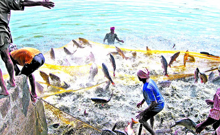 ఆక్వా రైతుల ఉద్యమ బాట | Demands of aqua farmers: andhra pradesh | Sakshi