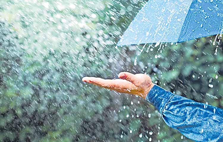 రాష్ట్రంలో రెండ్రోజులు వర్షాలు! | Rain forecast for two days | Sakshi