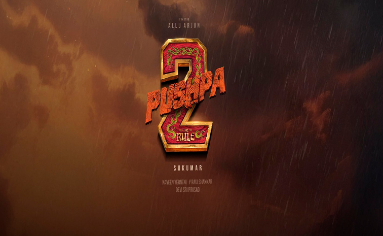 Pulla Reddy 2 పుష్ప-2 రీ లోడ్ వర్షన్.. మేకర్స్ బిగ్ అప్డేట్ | Allu Arjun's 'Pushpa ...