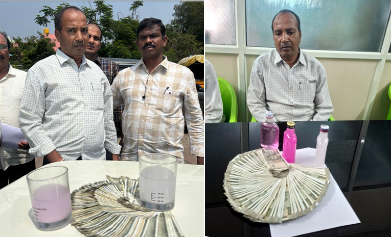 50 లక్షల లంచమిచ్చా.. సంపాదించుకోకపోతే ఎలా? | ACB Caught Red Handed To Chandragiri  Panchayat EO | Sakshi