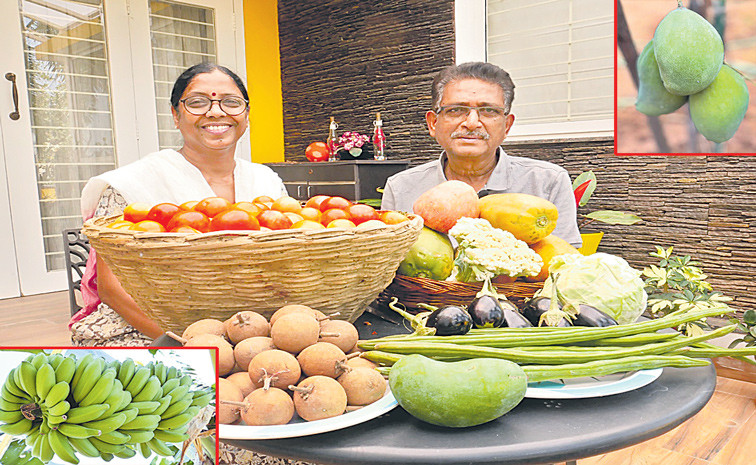 పెరటి పంటలు కొత్త పుంతలు | Sakshi special story about Bal Reddy organic ...