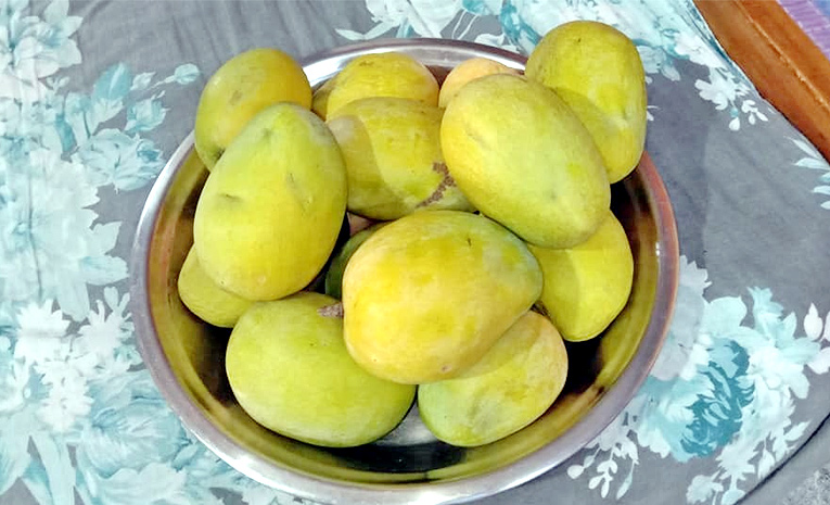 రాజుగారి పీచుమామిడి.. కోటలోనే లభ్యం | All About Cheruku Rasalu Mango ...
