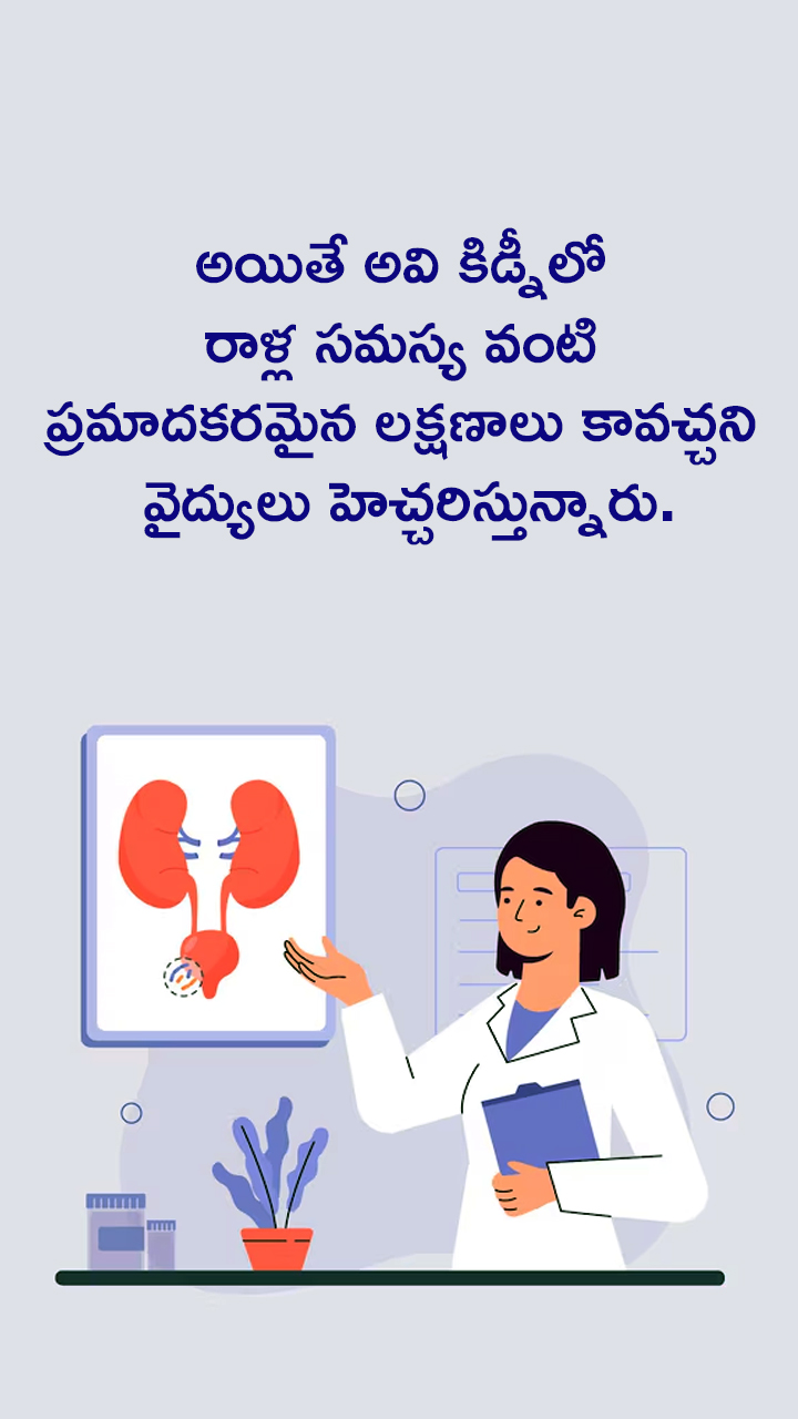 Kidney Functioning and Diseases 3