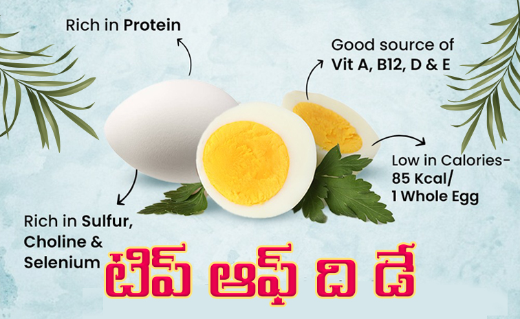 Today Tip : షుగర్ పేషెంట్లు ఎగ్స్ తినవచ్చా? ఎన్ని తినవచ్చు? | Today ...