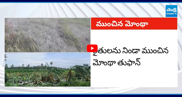 రైతులను నిండా ముంచిన మోంథా తుఫాన్ | Cyclone Montha Effect Farmers Crop ...