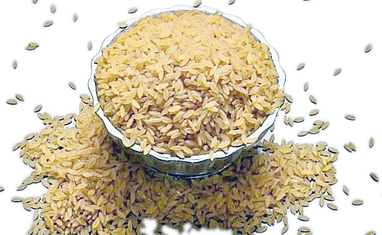 నూకలతో డిజైనర్‌ బియ్యం | Indian Scientists Develop Designer Rice That ...