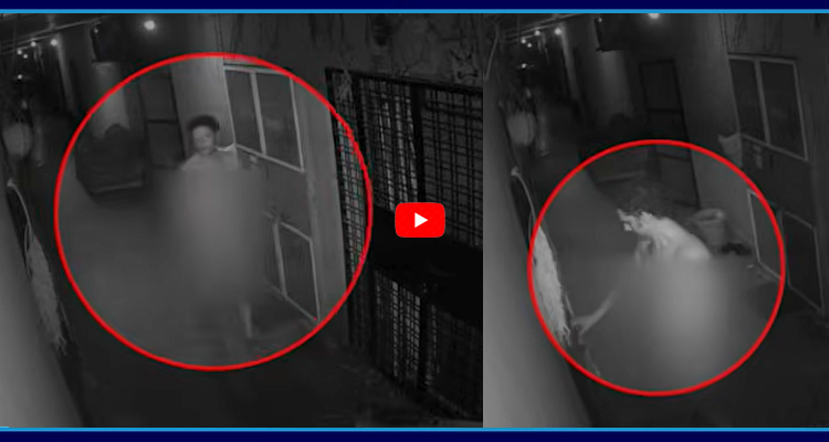 🆕 📰  తాజా వార్తలు - ShareChat