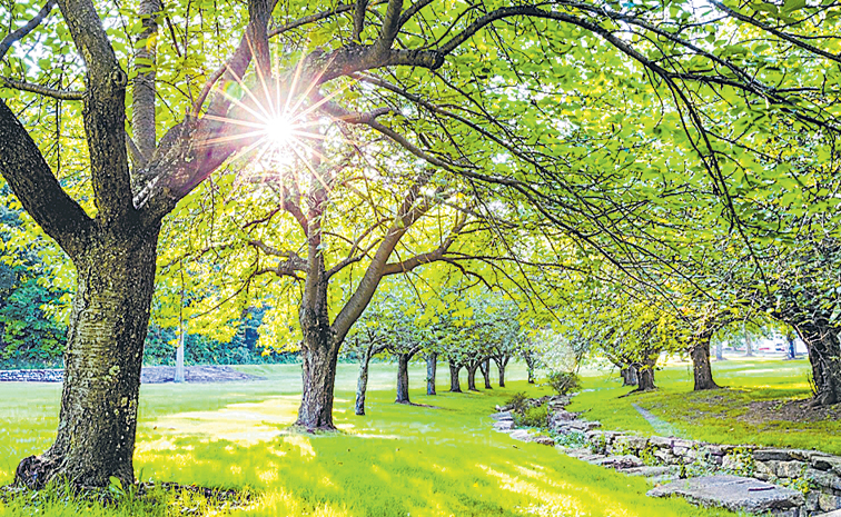 వేసవి కబురు చల్లగా! | IMD releases summer season forecast for April ...