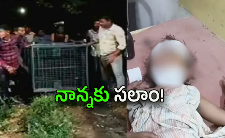 చిరుత నోట చిన్నారి : ఒంటిచేత్తో తండ్రి సాహసం!