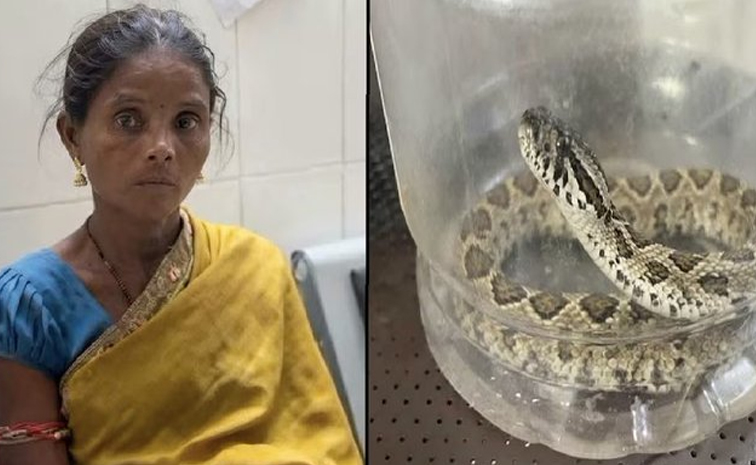 కాటేసిన పామును బిస్కెట్ డబ్బాలో బంధించి.. వీడియో వైరల్