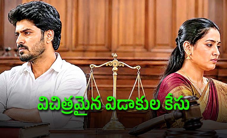 ఒక్కరోజూ కలిసి లేరు... విడిపోవడానికి 20 ఏళ్లు! ట్వ