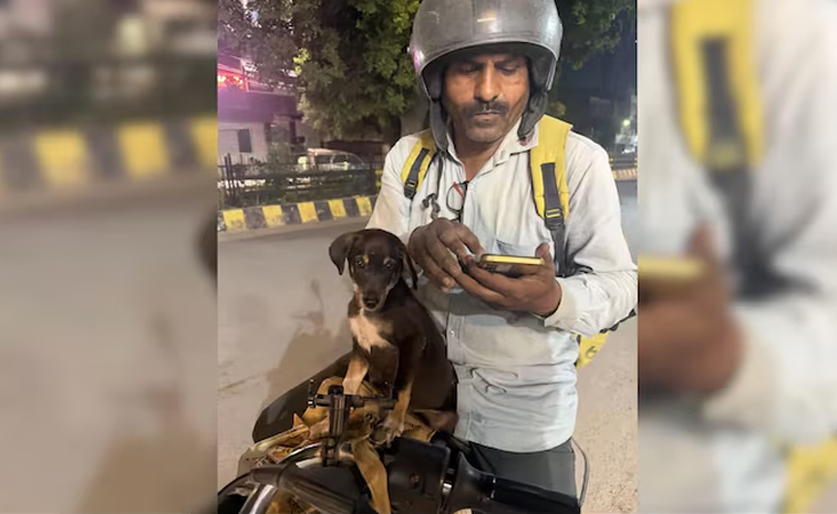 డాగీని అక్కున చేర్చుకుని.. వెంటబెట్టుకుని..!