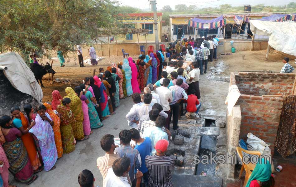 ZPTC MPTC polling at different districts in state - Sakshi50