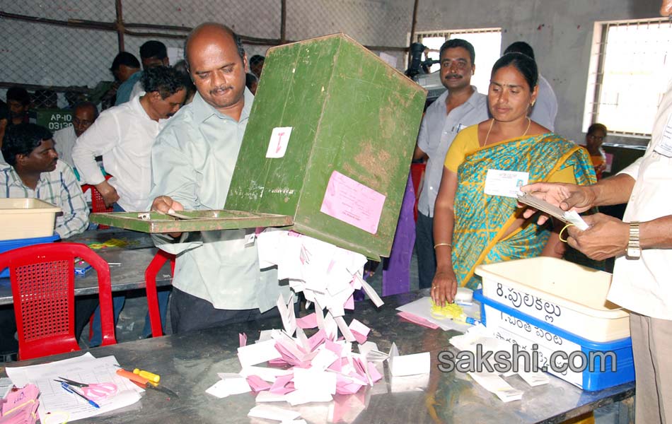 Local body election counting11
