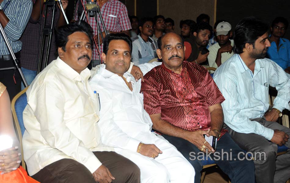 Antha Akkade Jarigindi Audio Launch11