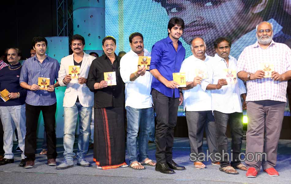 Dikkulu chudaku ramayya Audio Launch - Sakshi5