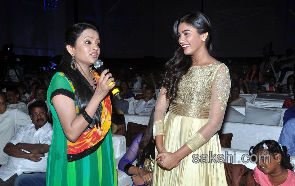 Dikkulu chudaku ramayya Audio Launch - Sakshi11