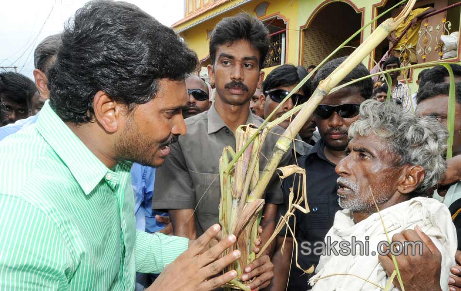 Y S jagan mohan reddy to tour cyclone affected areas - Sakshi4