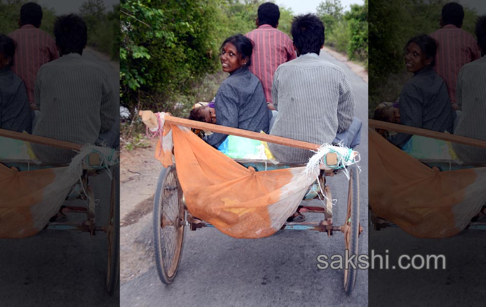 2014 Best Images - Sakshi2