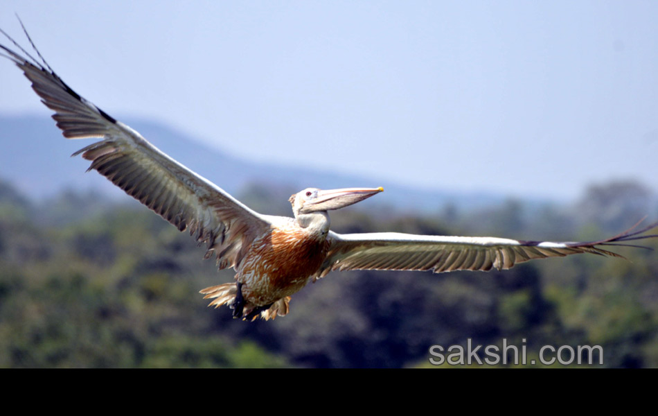 2014 Best Images - Sakshi27