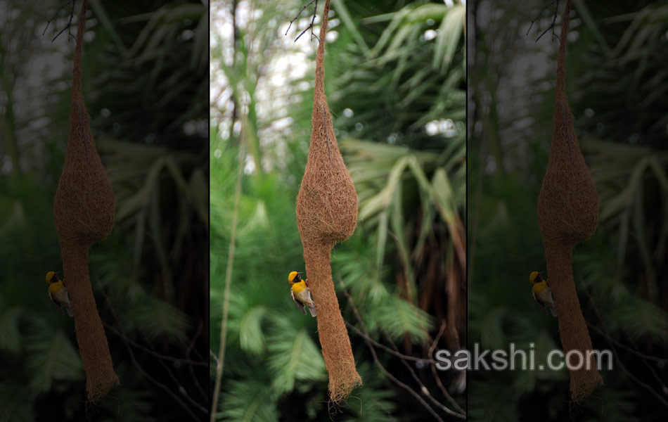 2014 Best Images - Sakshi59