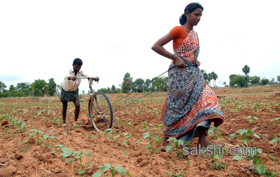 2014 Best Images - Sakshi70