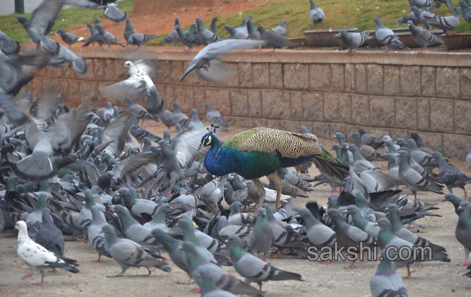 2015 Best images - Sakshi14