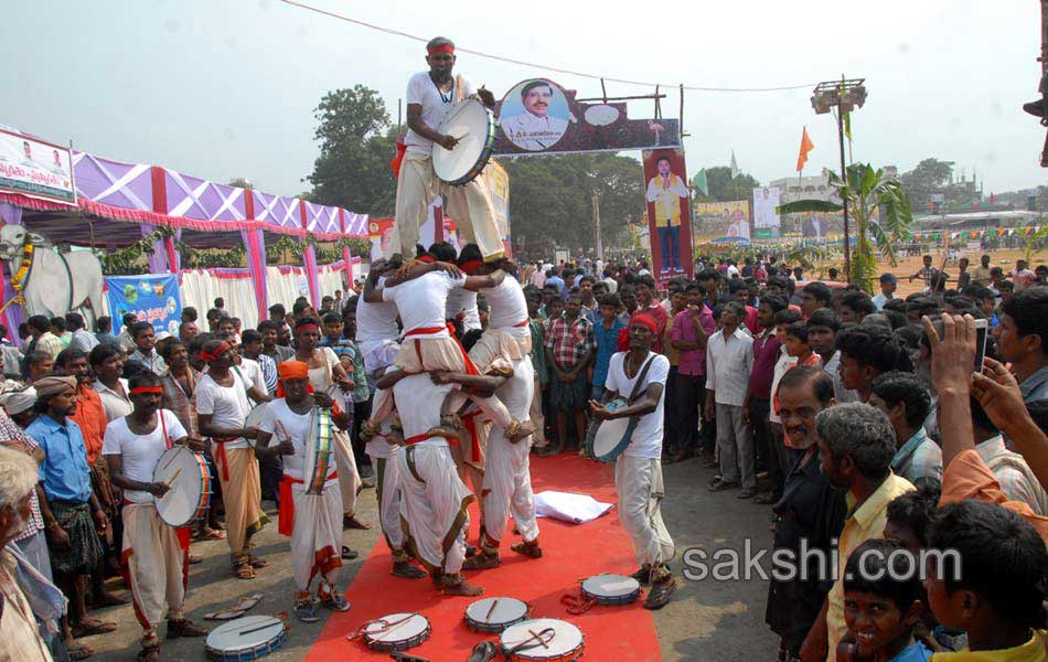 flamingo festival in Nellore district6