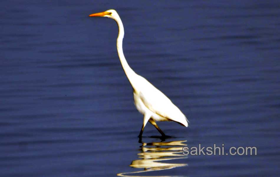 This week Best images12