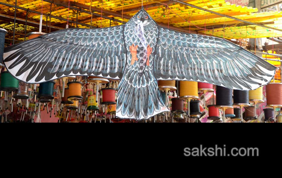 This week Best images - Sakshi9