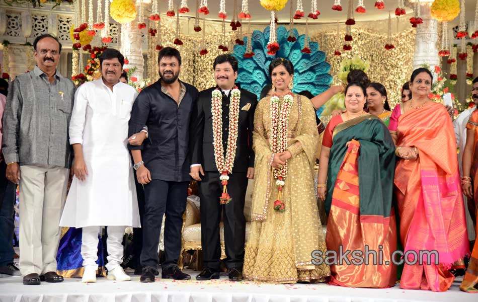 Rajendra Prasad Son Wedding Reception15
