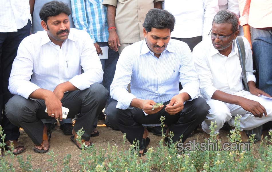 IG Car YS Jagan Mohan Reddy - Sakshi6