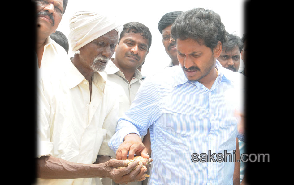 YS jagan mohan reddy tour in ananthapuram - Sakshi3