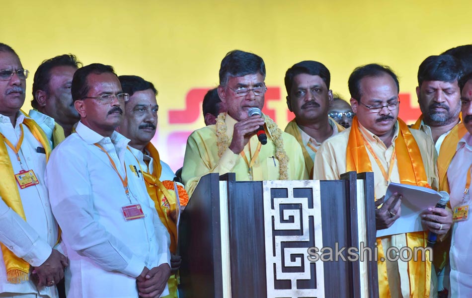 Telugu desam mahanadu - Sakshi7