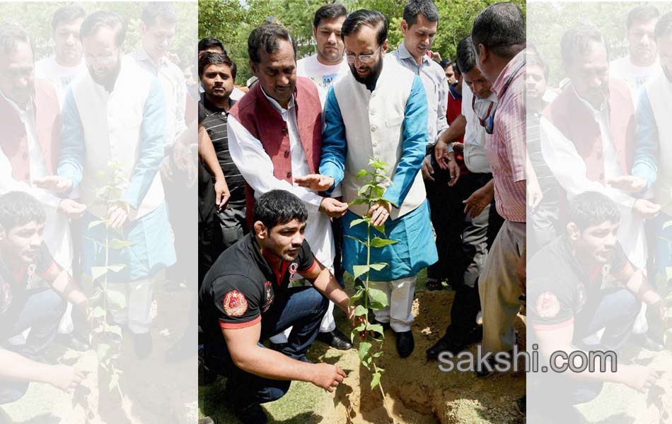 World Environment Day6